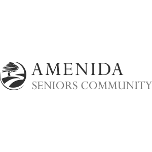 amenida_logo.png